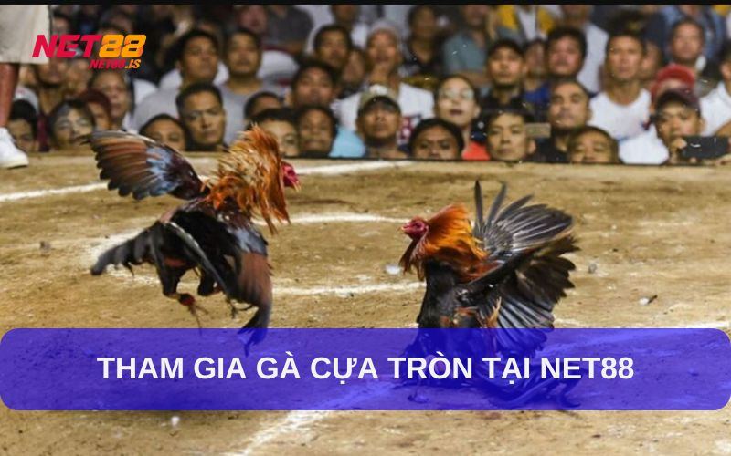 Hướng dẫn tham giá đá gà cựa tròn tại Net88