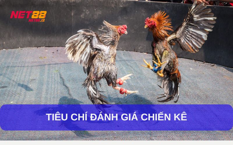 Giới thiệu về đá gà cựa tròn
